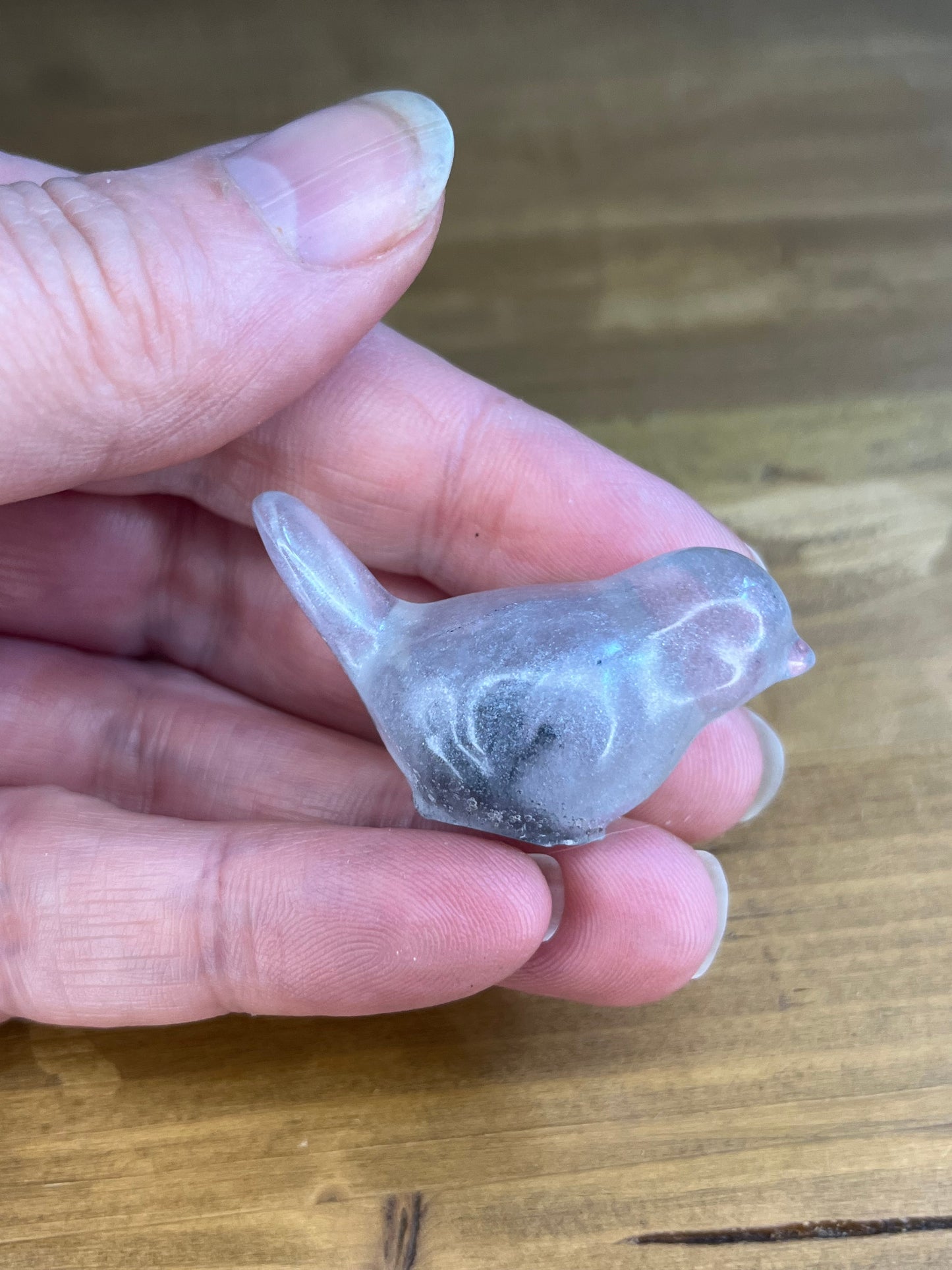 Small Resin Bird Figures, Collectible Pocket Pets, Gifts for Ornithologists, Stress Relief & Anxiety Aids,