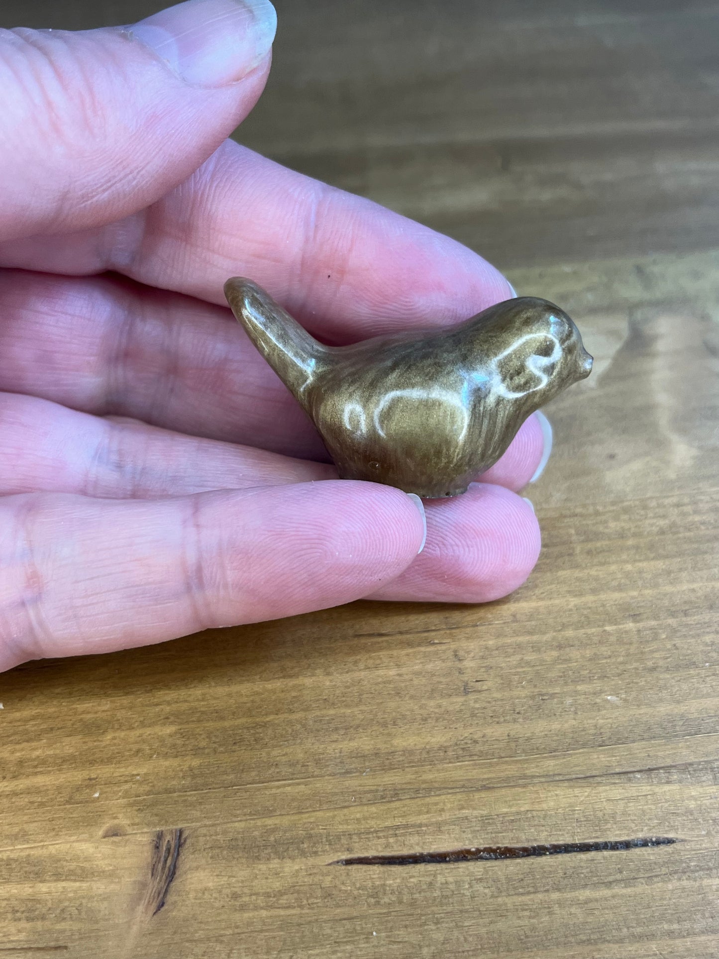 Small Resin Bird Figures, Collectible Pocket Pets, Gifts for Ornithologists, Stress Relief & Anxiety Aids,